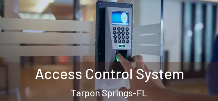  Access Control System Tarpon Springs-FL