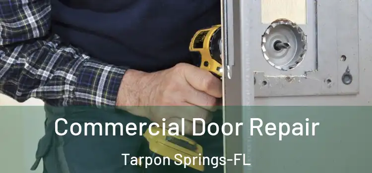  Commercial Door Repair Tarpon Springs-FL