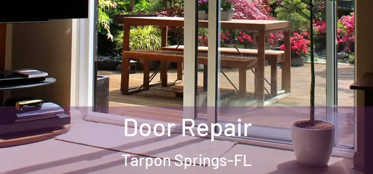  Door Repair Tarpon Springs-FL