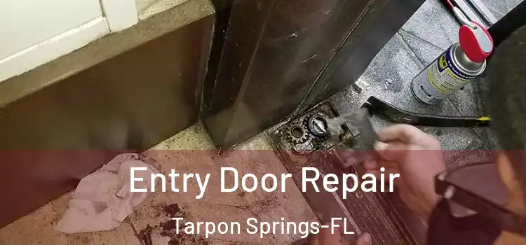  Entry Door Repair Tarpon Springs-FL