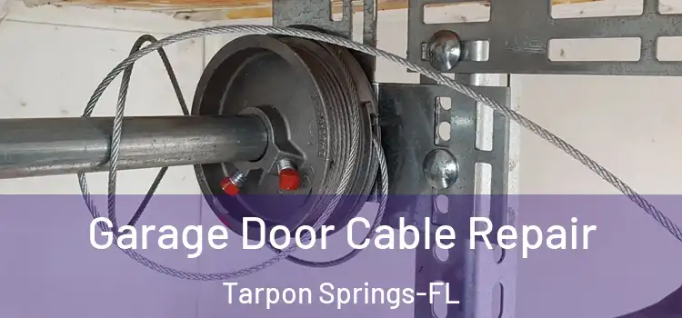  Garage Door Cable Repair Tarpon Springs-FL