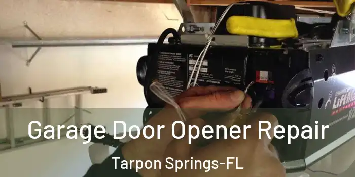  Garage Door Opener Repair Tarpon Springs-FL