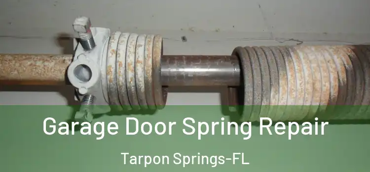  Garage Door Spring Repair Tarpon Springs-FL