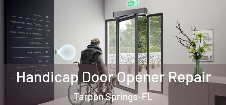  Handicap Door Opener Repair Tarpon Springs-FL