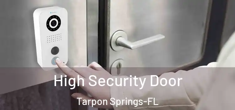  High Security Door Tarpon Springs-FL