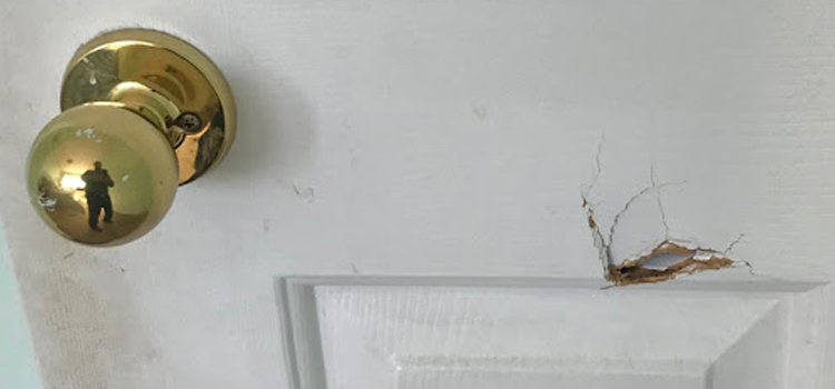 interior door hole repair Tarpon Springs