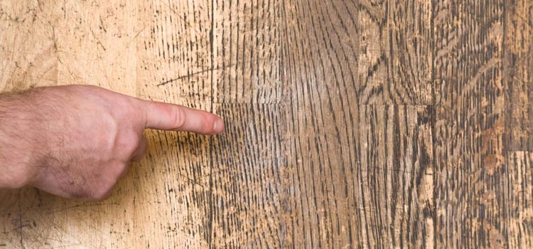 Wood Door Scratch Repair in Tarpon Springs