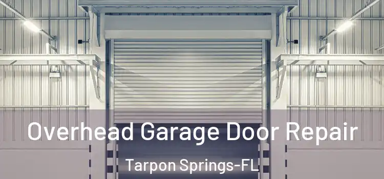  Overhead Garage Door Repair Tarpon Springs-FL