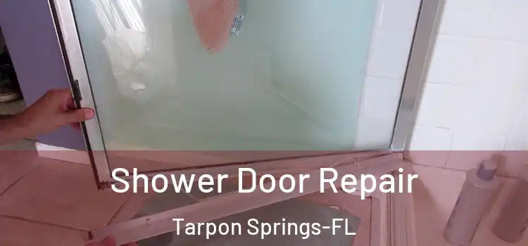  Shower Door Repair Tarpon Springs-FL